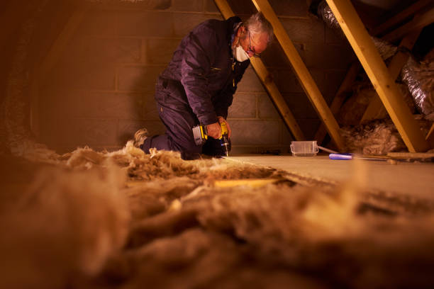 Best Insulation Installation Services in Port Byron, NY